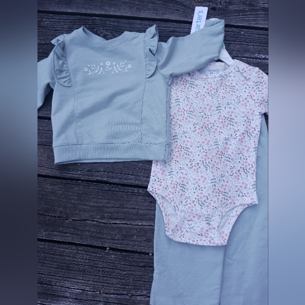 Baby Girls 3-Piece Floral Bodysuit & Ruffle Sleeve Top Set - Sage Pink By Carter